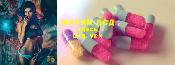 дживик Гусев