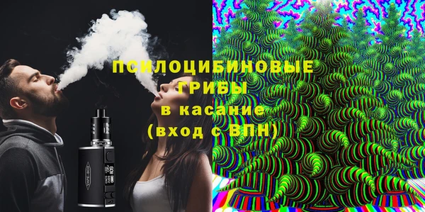 дживик Гусев