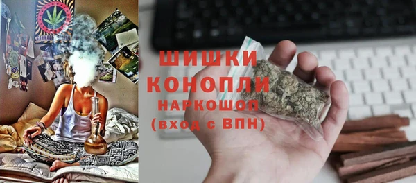 тгк Гусь-Хрустальный