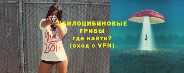 тгк Гусь-Хрустальный