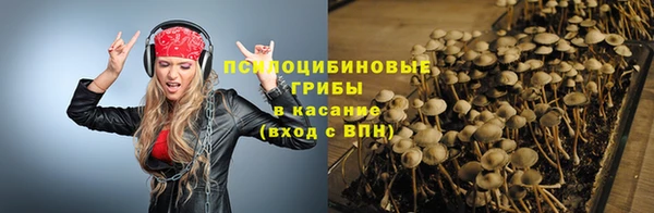 тгк Гусь-Хрустальный